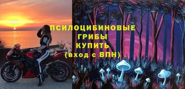 гашик Балахна