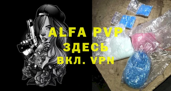 индика Арсеньев