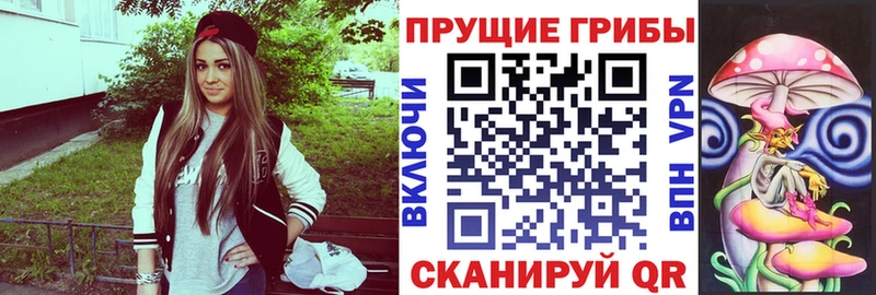 mega ТОР  Красноуральск  Псилоцибиновые грибы GOLDEN TEACHER 